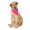 5-Pack Paisley Cotton Dog Scarf Triangle Bibs - XL and Washable